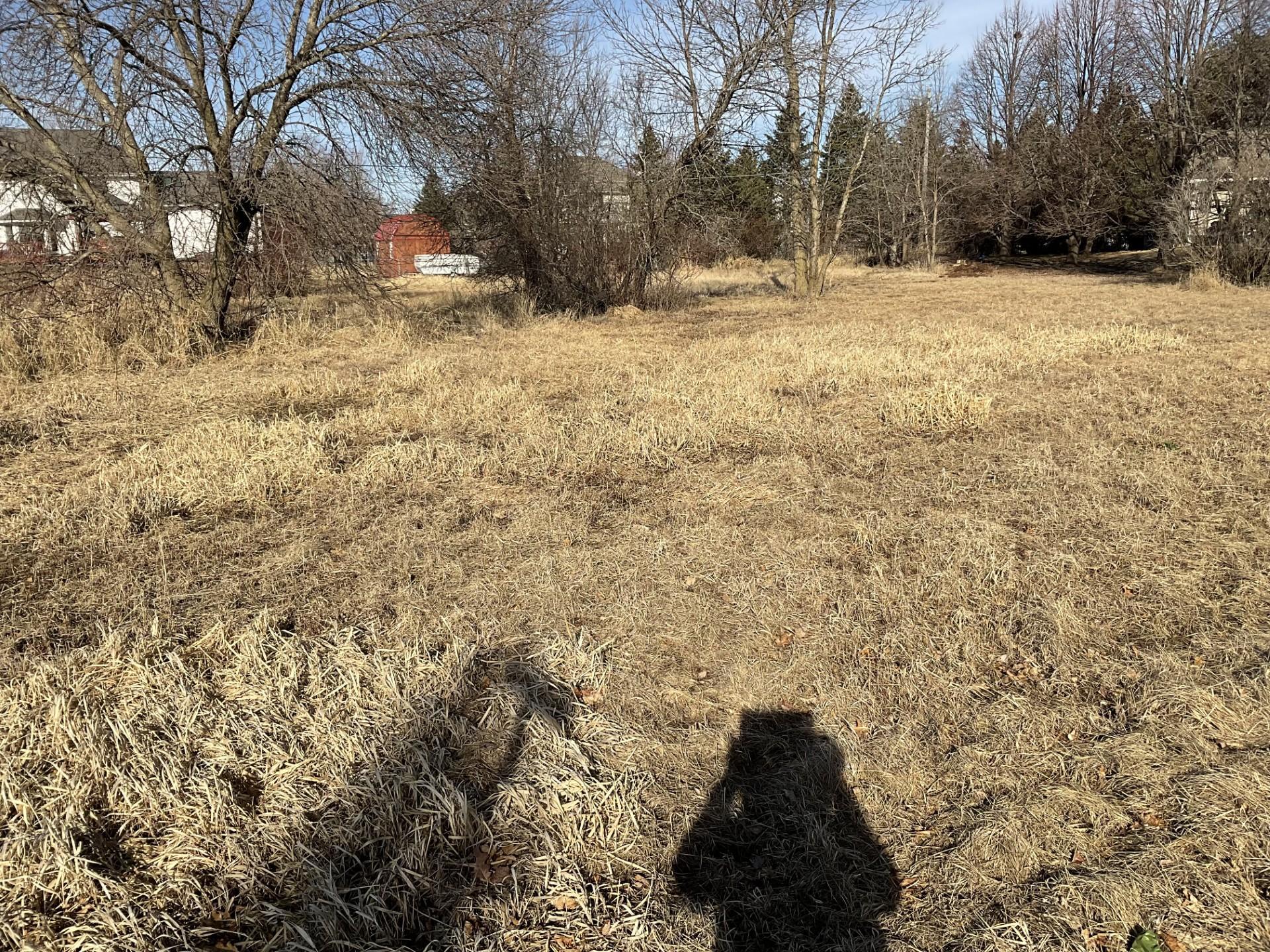 Looking West SW