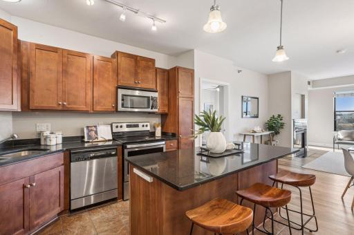 1155 Ford Road, 513, Minneapolis, MN 55426