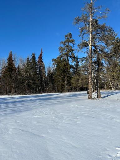 TBD State Highway 11, Warroad, MN 56763