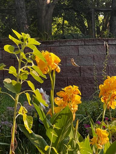 11428 Zion Circle, Minneapolis, MN 55437