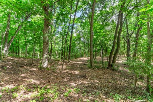 2xx Cove Road, Hudson, WI 54016