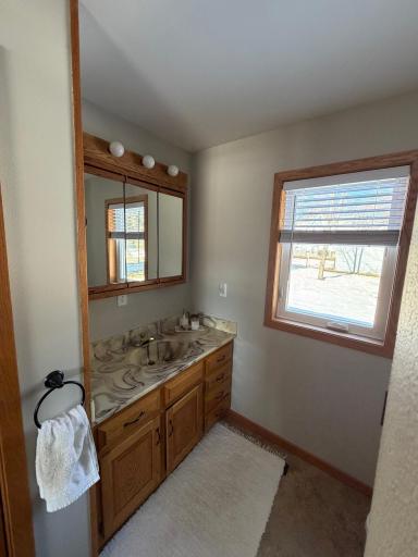 232 4th Street, Bluffton, MN 56518