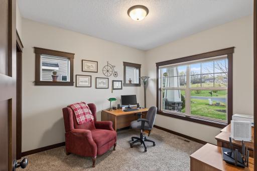 Main floor second bedroom is currently used as an office. There is a walk-in closet.