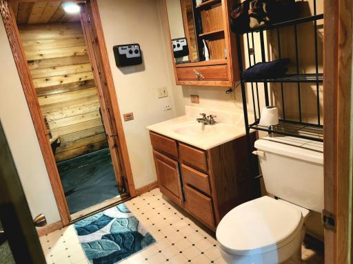 bathroom basement1.jpg