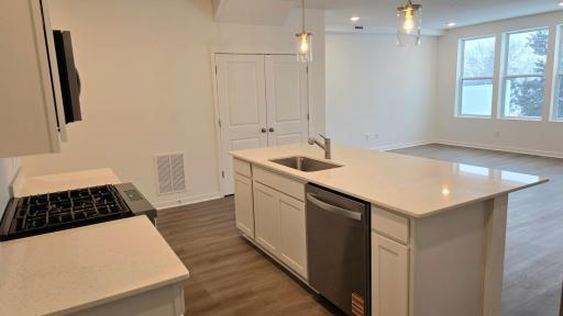 6298 Larkspur Lane, Corcoran, MN 55340