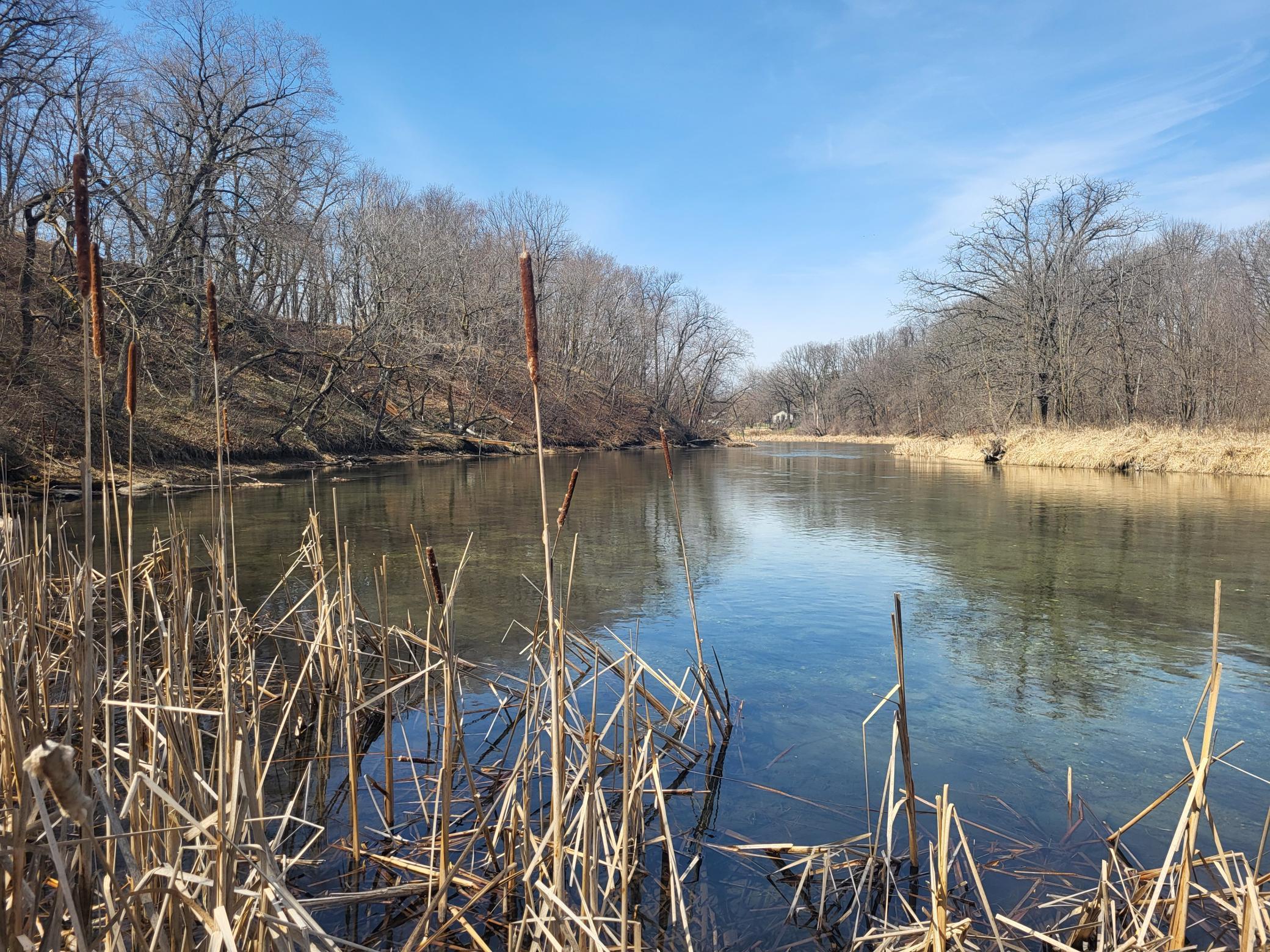 NE corner of lot at shore looking W