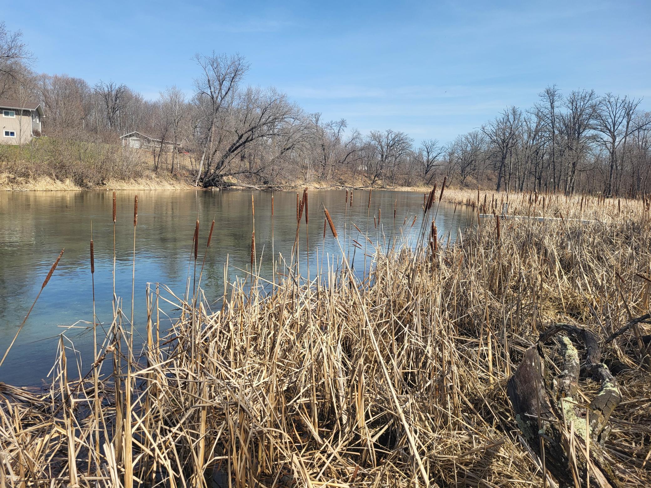 NE corner of lot looking E