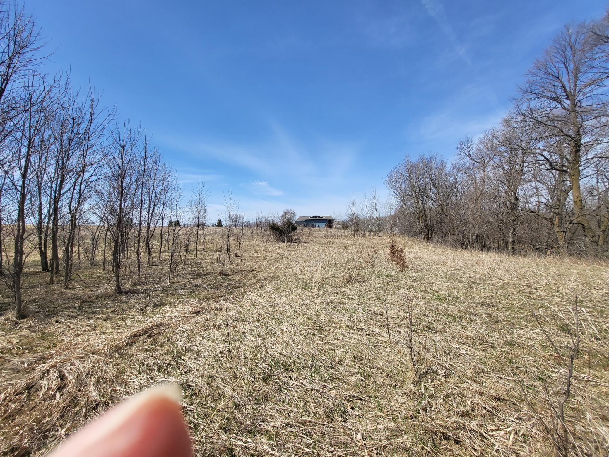 Opened area of lot looking W