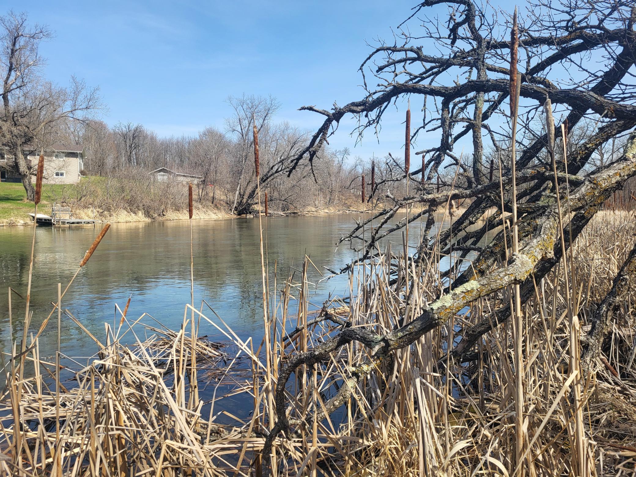 NE corner of lot looking E