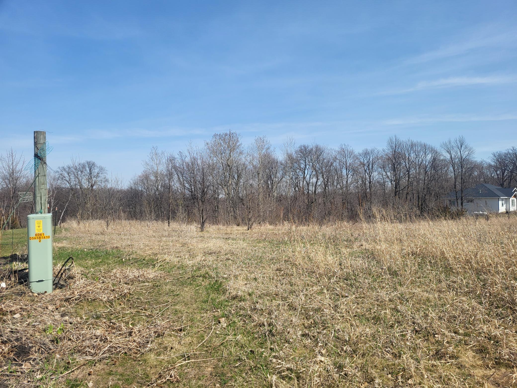 SW corner of lot looking North