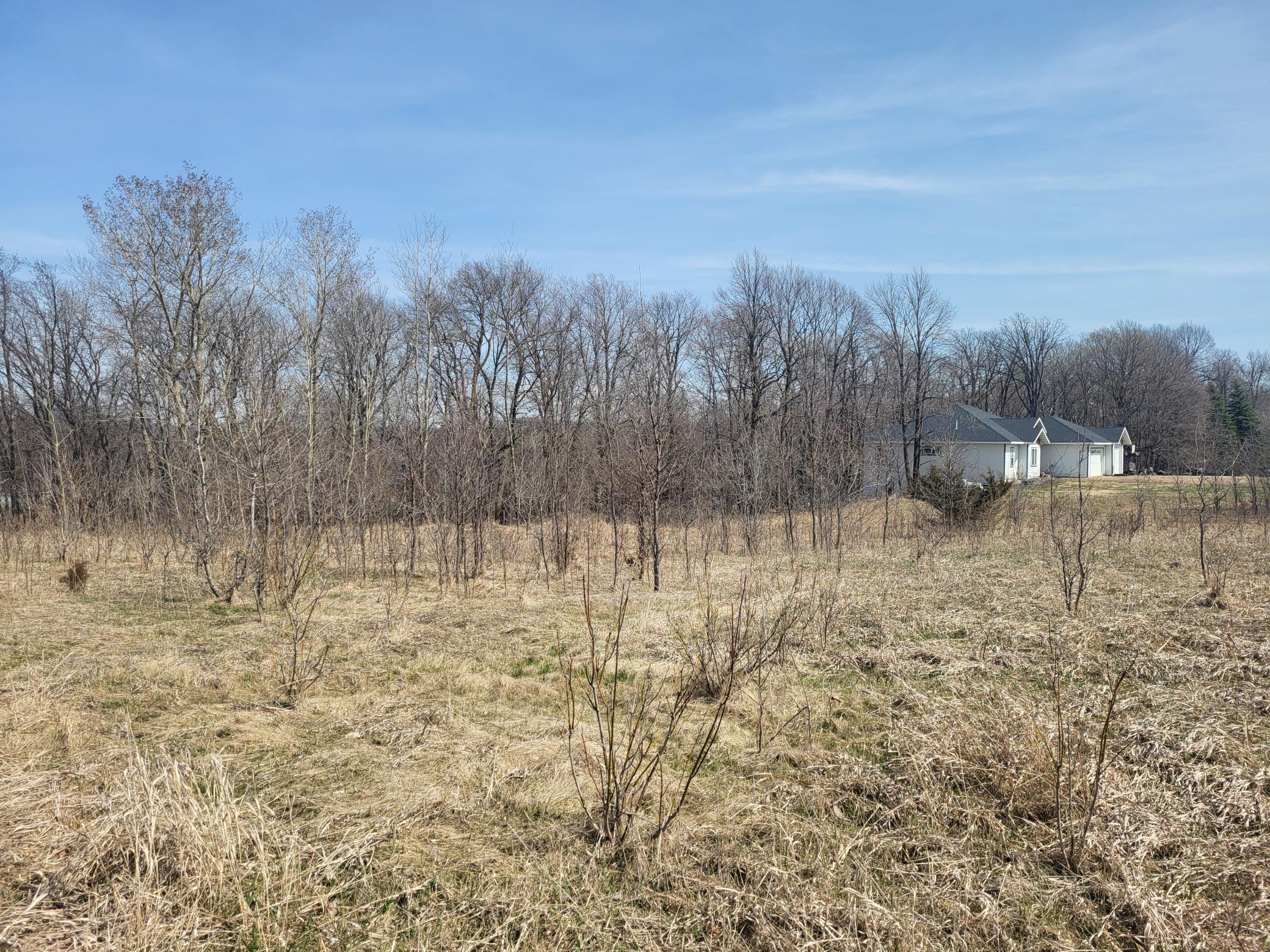 Middle of W side of Lot looking E