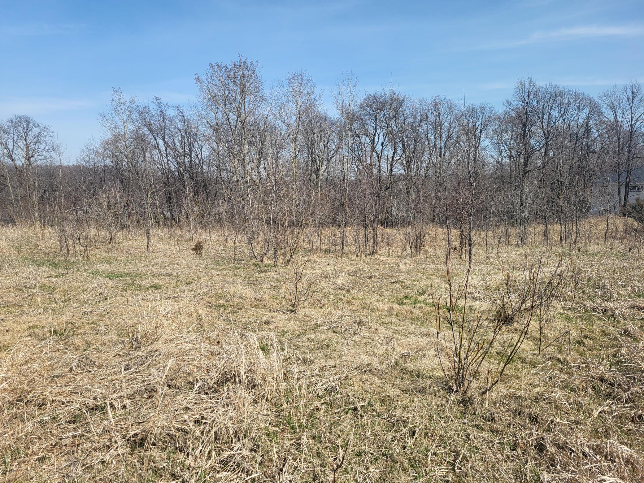 Middle of West side of lot looking N