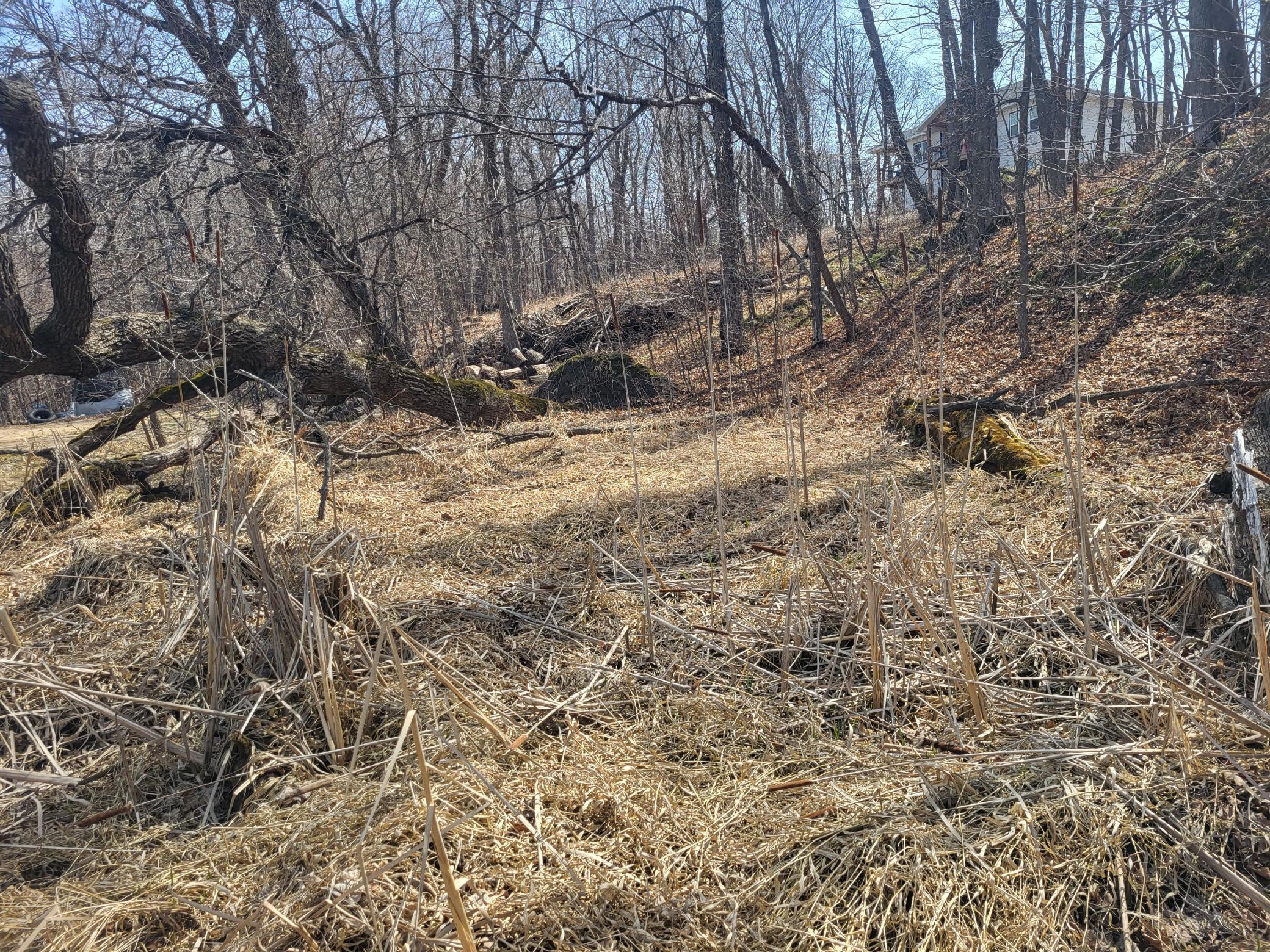 Shelf area along shoreline