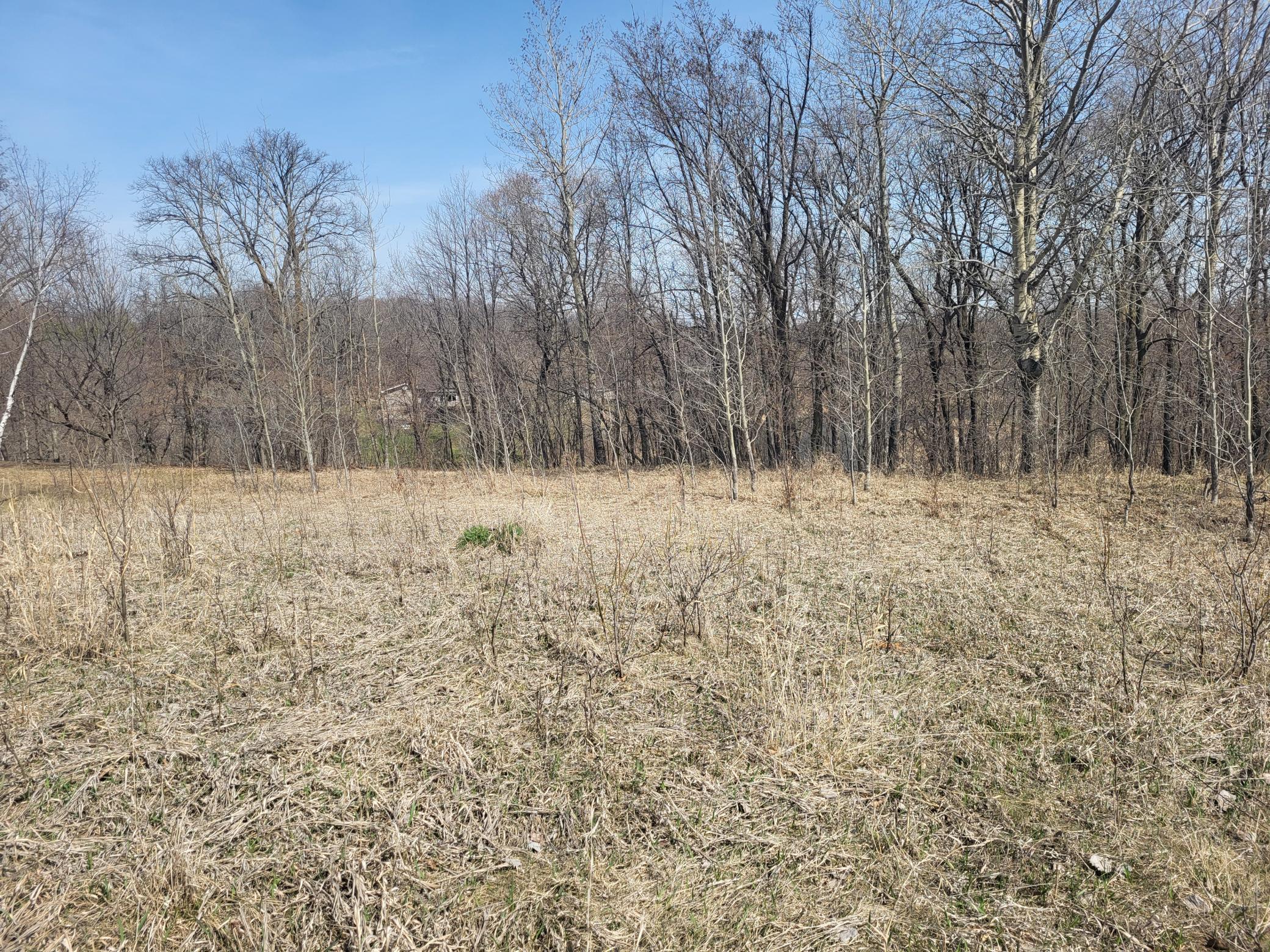 Middle of Lot looking N