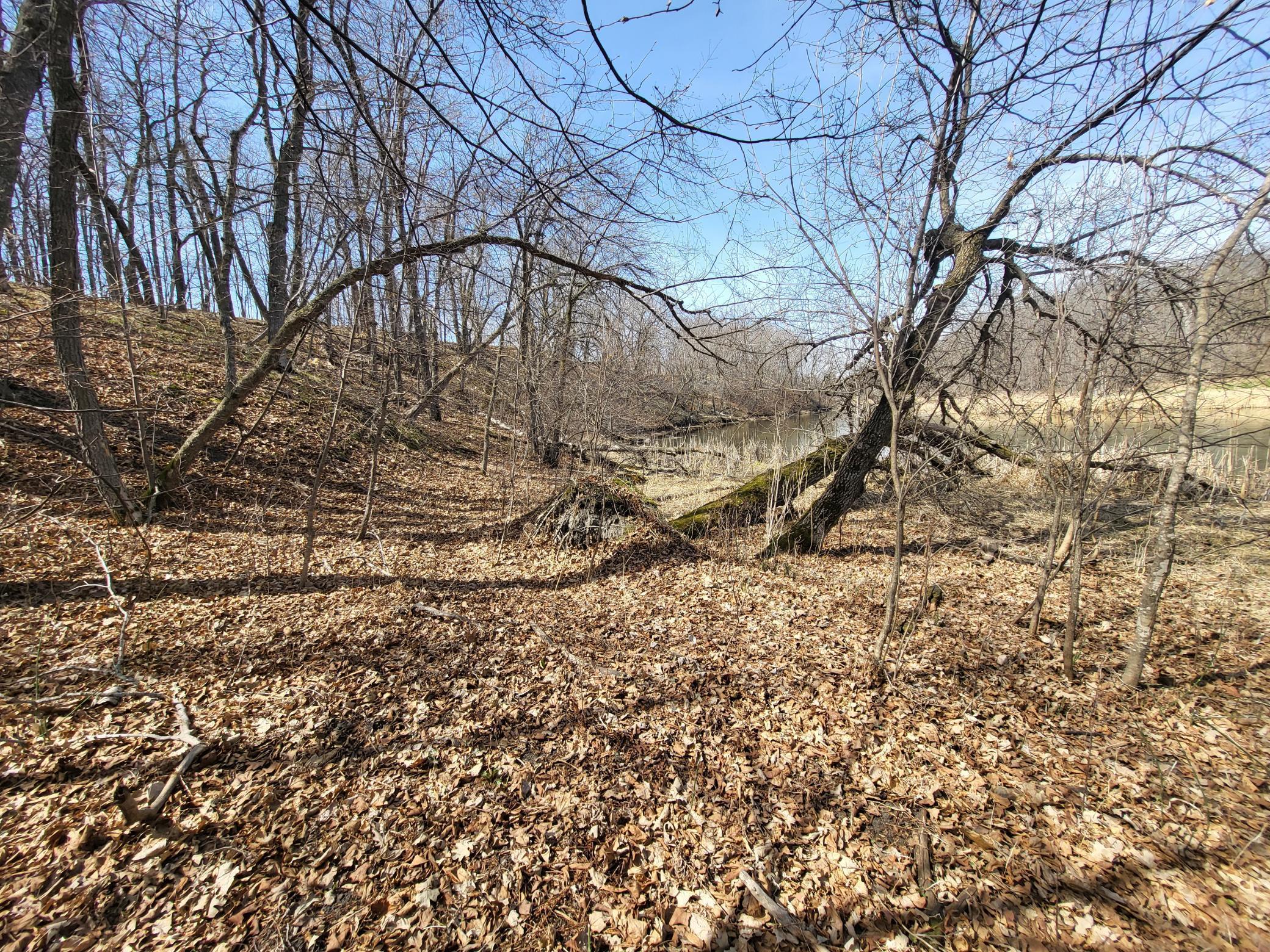 Shelf area along shoreline