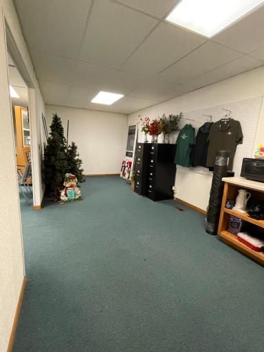 136 S Broadway, Wells, MN 56097
