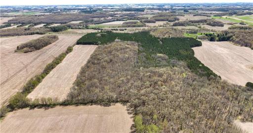 TBD Highway 93, Eleva, WI 54738