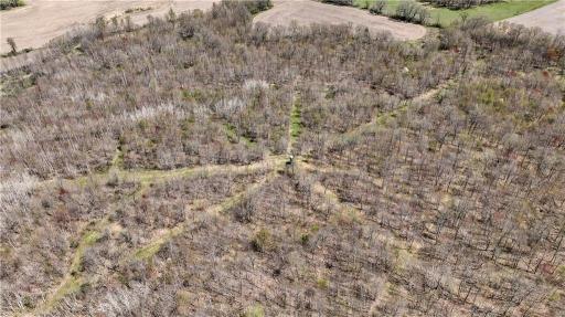 TBD Highway 93, Eleva, WI 54738