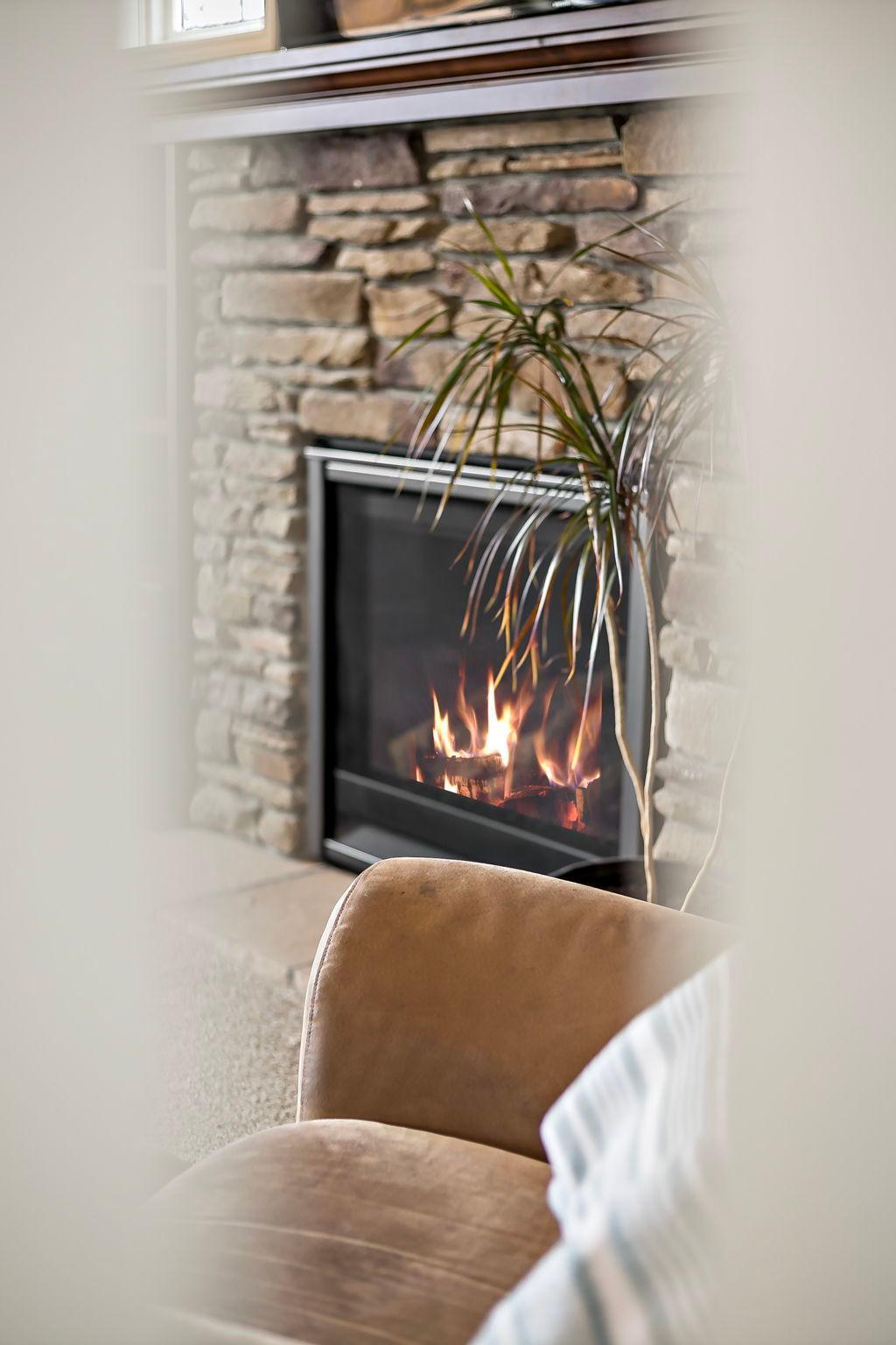 17163-hollyhock-ct-lakeville-mn-living-room-fireplace-close.jpg