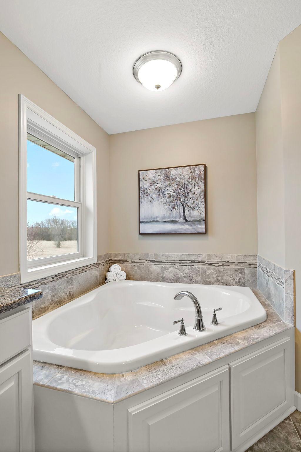 17163-hollyhock-ct-lakeville-mn-primary-bath-soaking-tub.jpg
