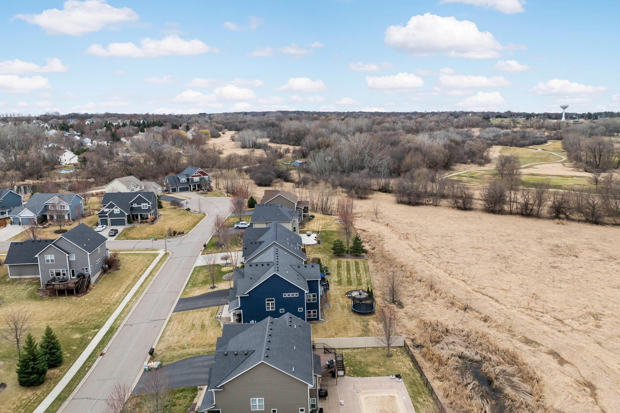 17163 Hollyhock Ct, Lakeville, MN.jpg