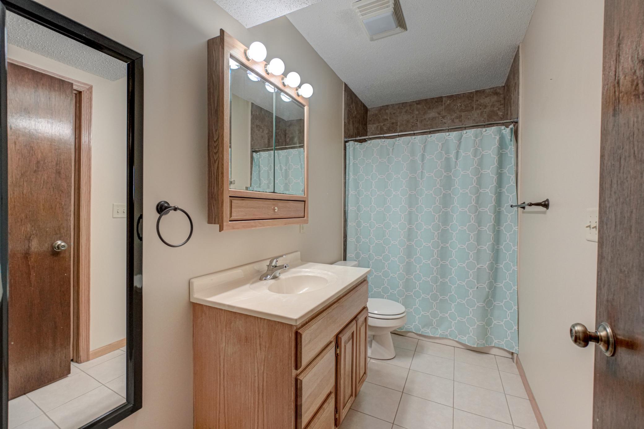 Lower level bathroom