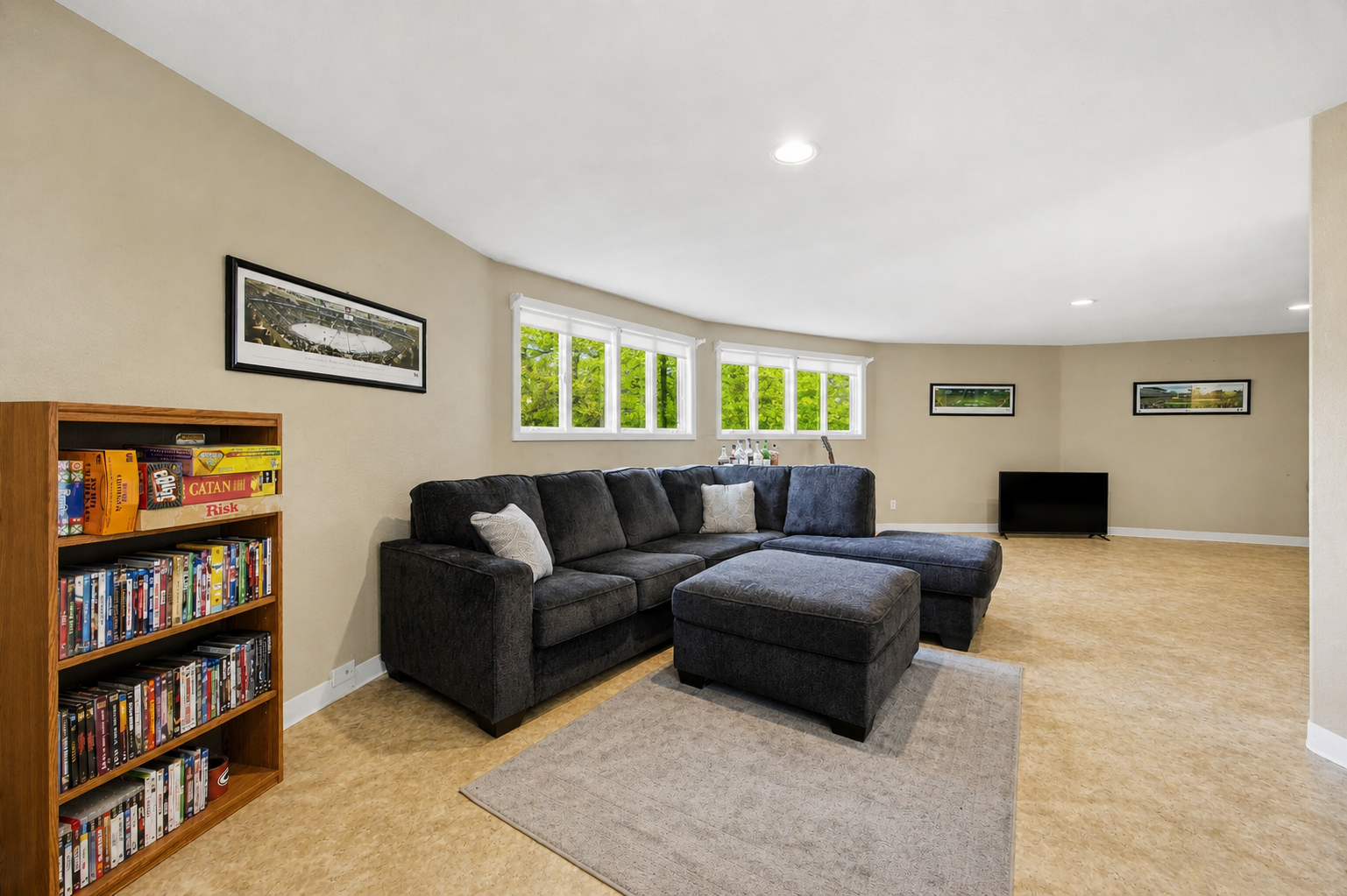 Lower level family room