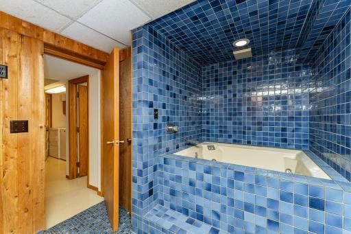 Lower level spa like jetted tub