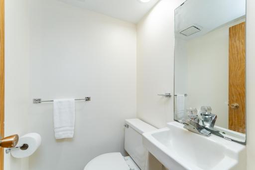 Lower level bathroom