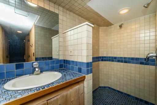 Lower level spa like retreat - shower/sink