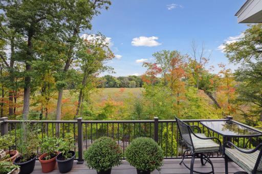 726 Woodland Hill Court - Spacecrafting - 0011.jpg