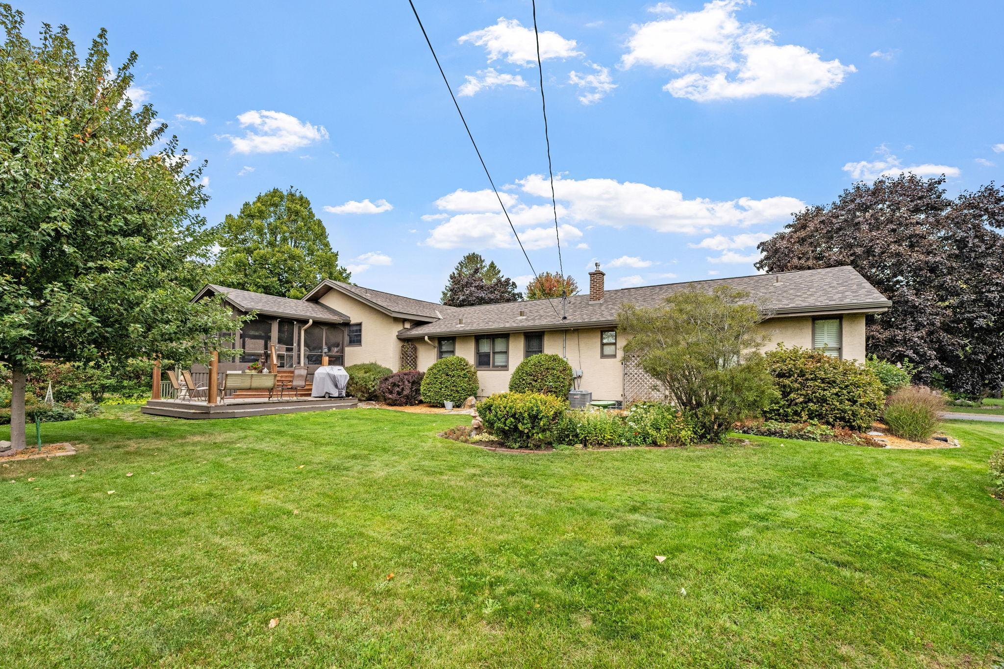 Plenty of green grass