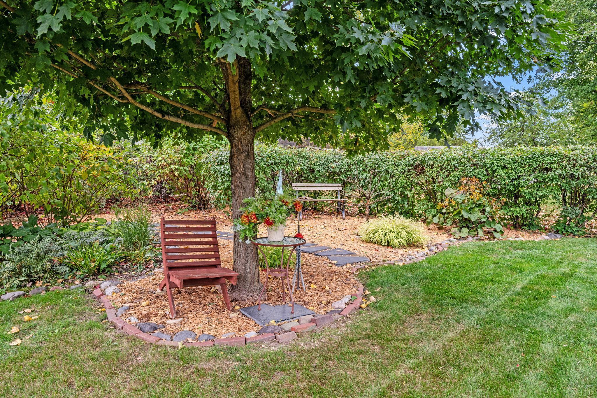 Escape the bright sun with cool shade tree