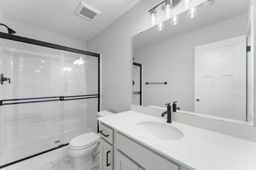 Lower level bathroom