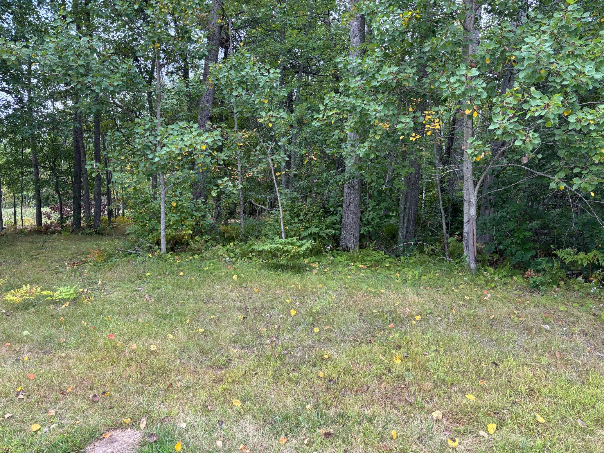 Property photo for Lot 77 Airport Road, Breezy Point, MN 56472