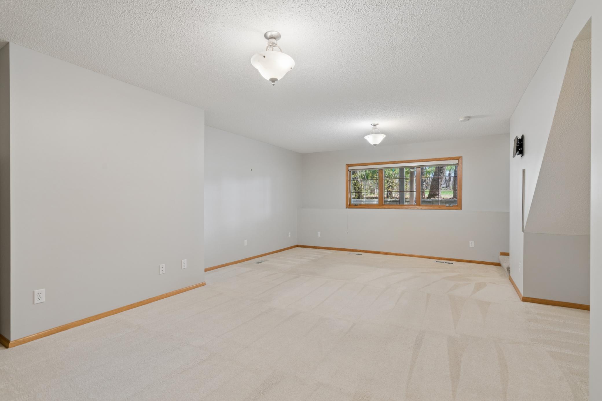 Lower level family room