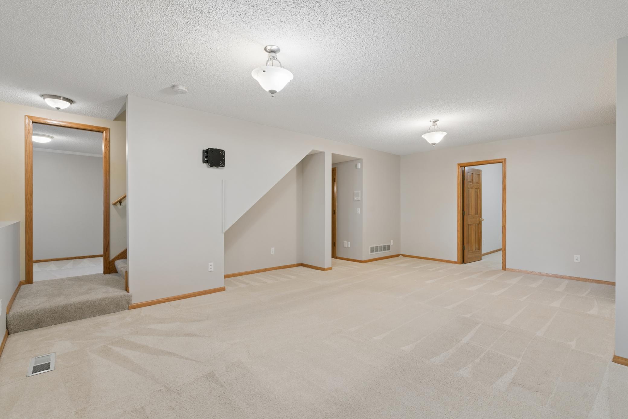 Lower level family room