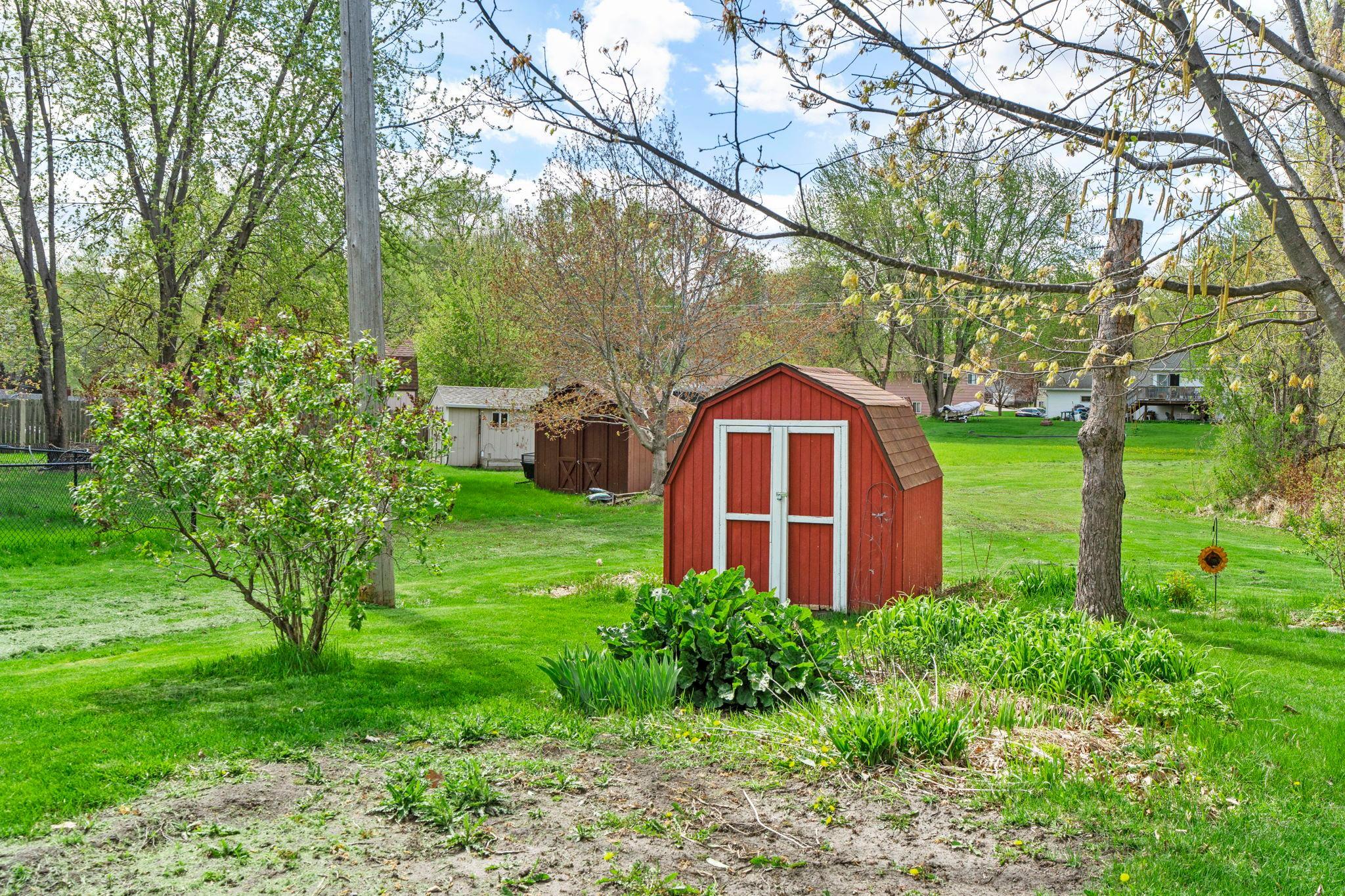 Small shed beyond the rhubarb