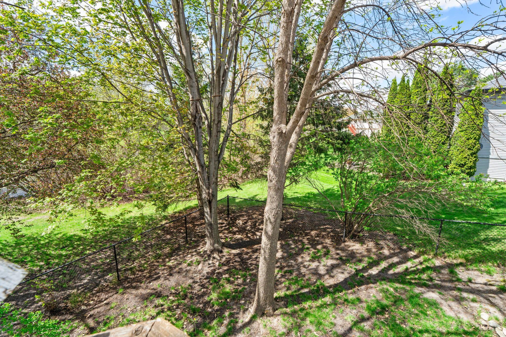 Half the backyard is fenced for four legged friends or kids play space