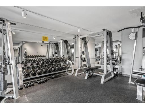 401 S 1st Street, 209, Minneapolis, MN 55401