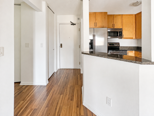 401 S 1st Street, 209, Minneapolis, MN 55401