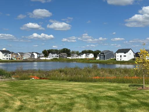 The Preserve, features a paved walking/biking trail for our Residents that encircles the Community's Conservation Wetland Area.