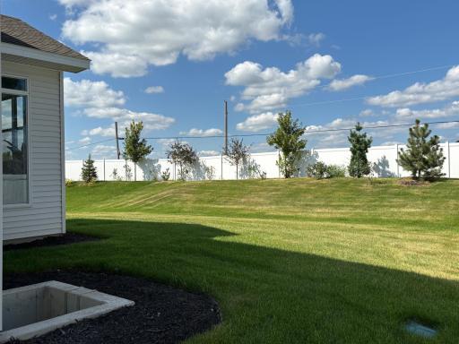 Large, private backyard with enhanced landscaping and open-sky feel for ultimate outdoor entertaining.