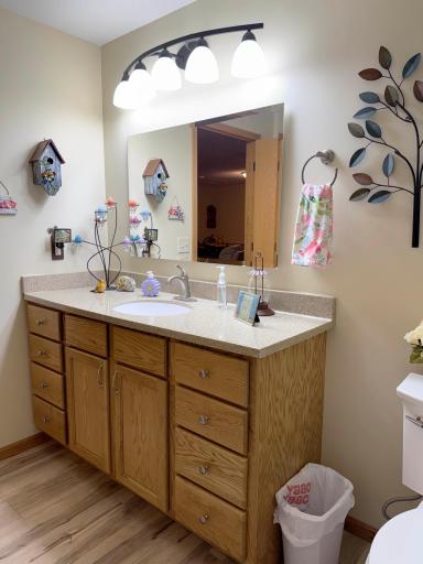 Another angle of the bathroom on the lower level.