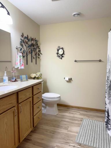 A look at the full bathroom on the lower level.