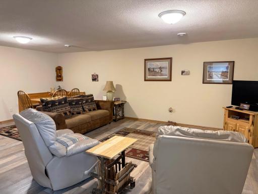 Another angle of the lower level family room.