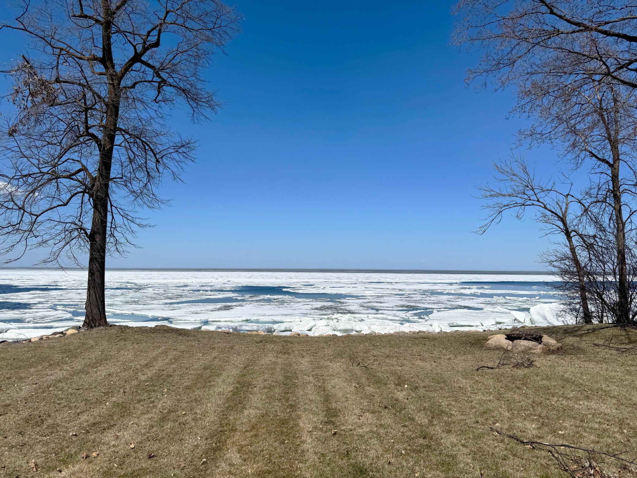More views of the backyard.