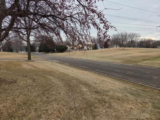 Have a dog or looking to get out, have friends over, and throw the frisbee or play?