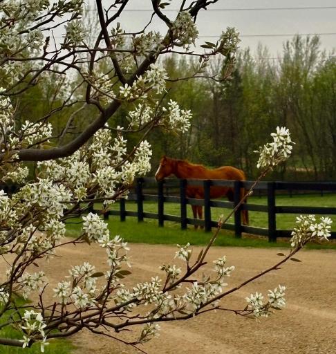 One of your beautiful views right out your front door!