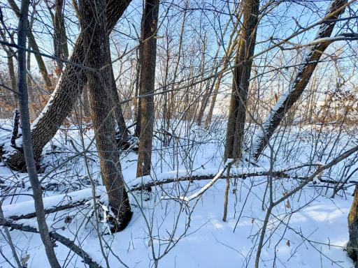 XXXXX German Lake Road, Underwood, MN 56586